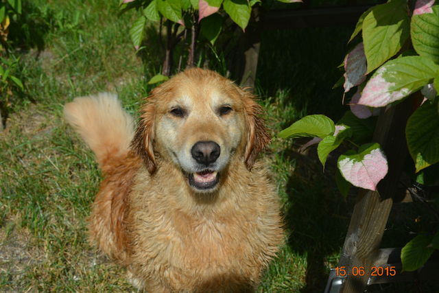fiona