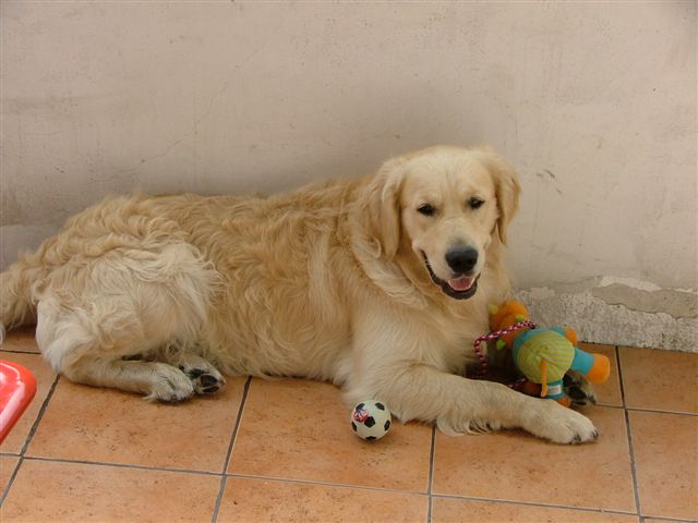 DSCF9169