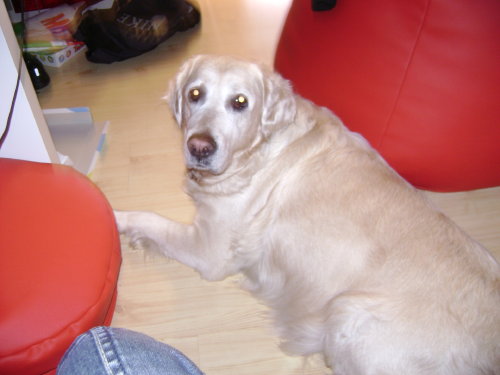 fiona