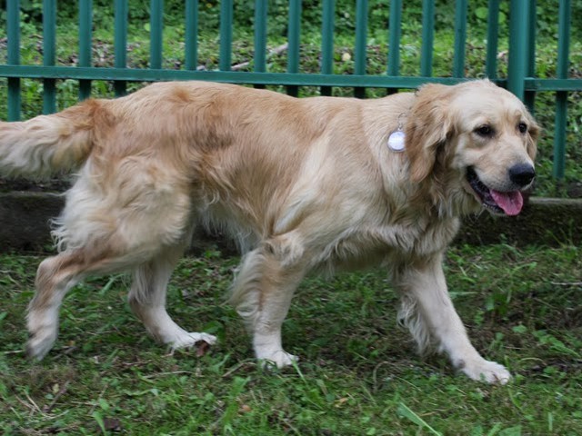 lusia