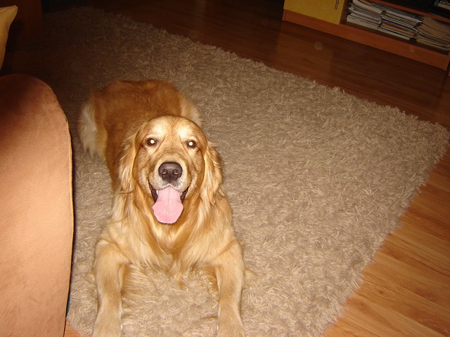 max2