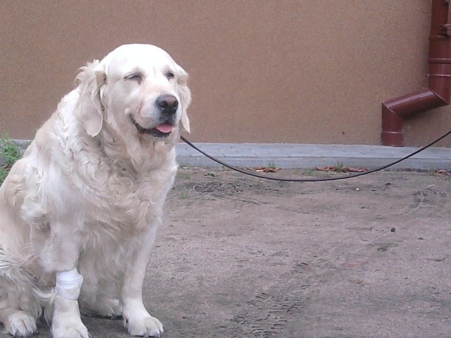 soniab